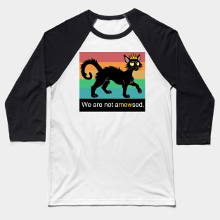We Are Not Amewsed Black Cat Baseball T-Shirt